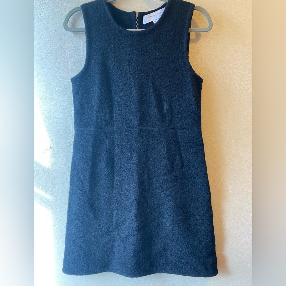 Elegant Black Sleeveless Dress by Alexander Wang